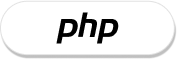top php custom web development company
